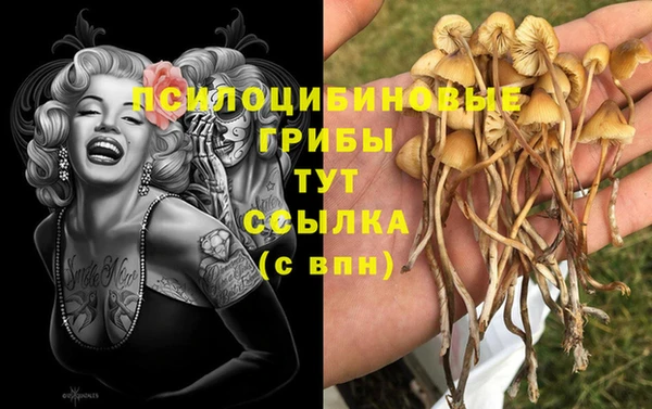 тгк Заволжск