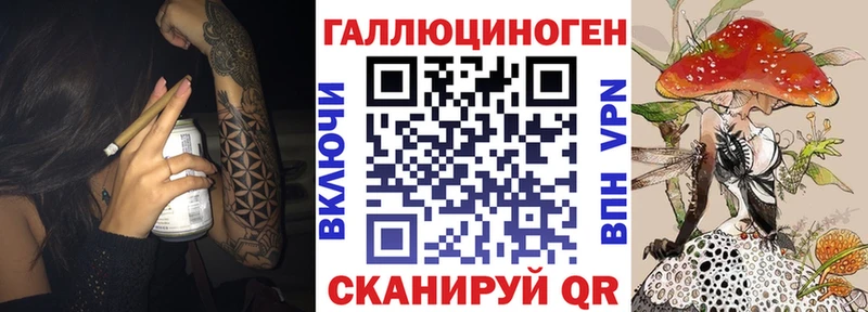 Купить где  Кинешма  Галлюциногенные грибы Psilocybine cubensis 